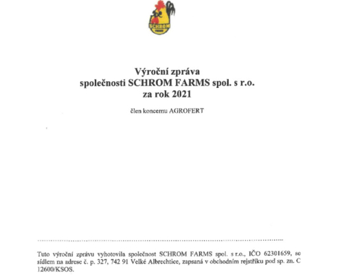 thumbnail of Vyrocni-zprava-2021-2